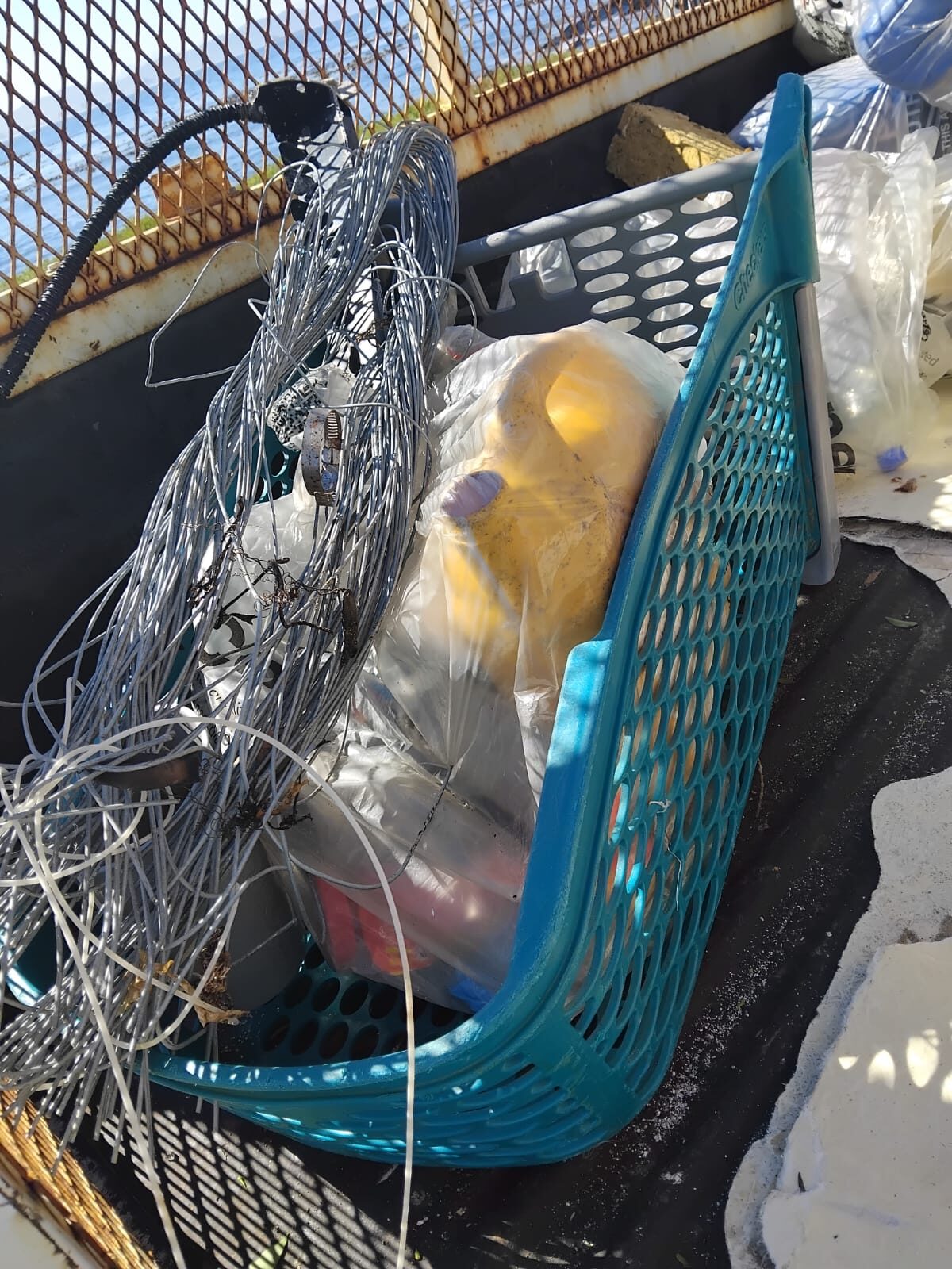 A rescued seabird being cared for at SANCCOB