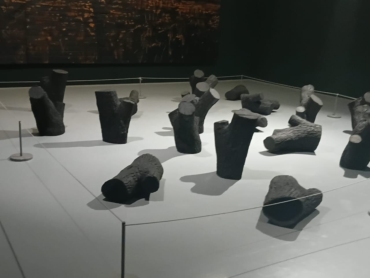 A sculptural installation arranged across a museum floor